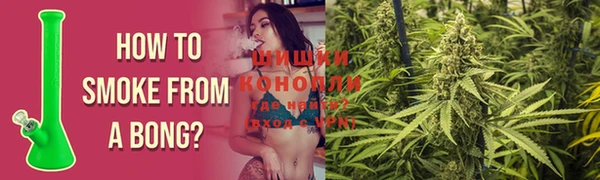 ПСИЛОЦИБИНОВЫЕ ГРИБЫ Алексин