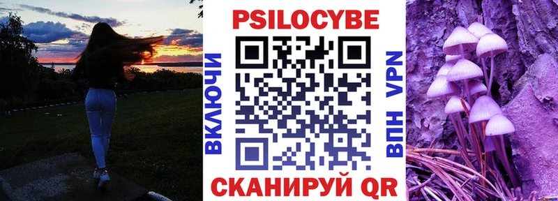 это какой сайт OMG ССЫЛКА Порхов Галлюциногенные грибы мицелий